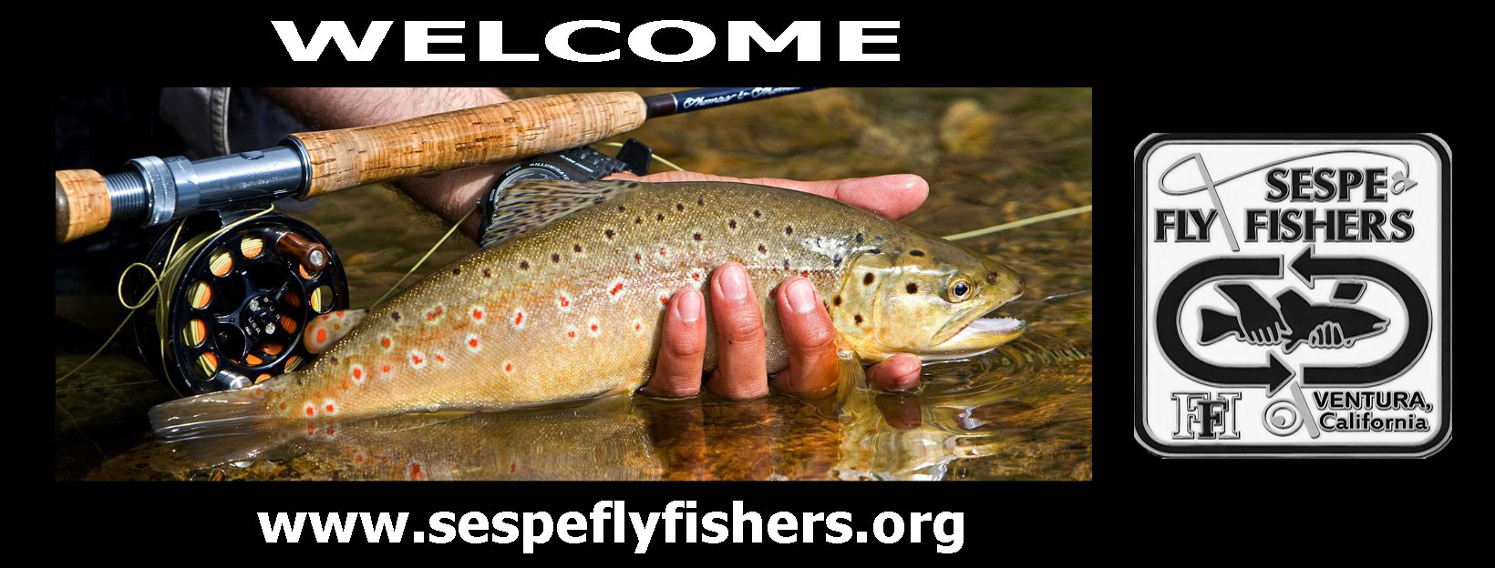 Welcome to the Sespe FF Raffle Website